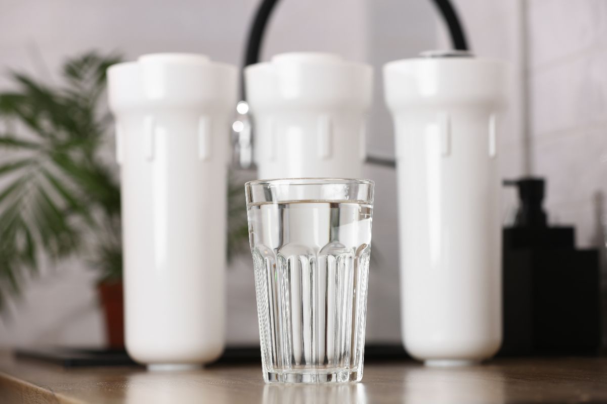 What Makes Reverse Osmosis Water Healthy for Kidneys?