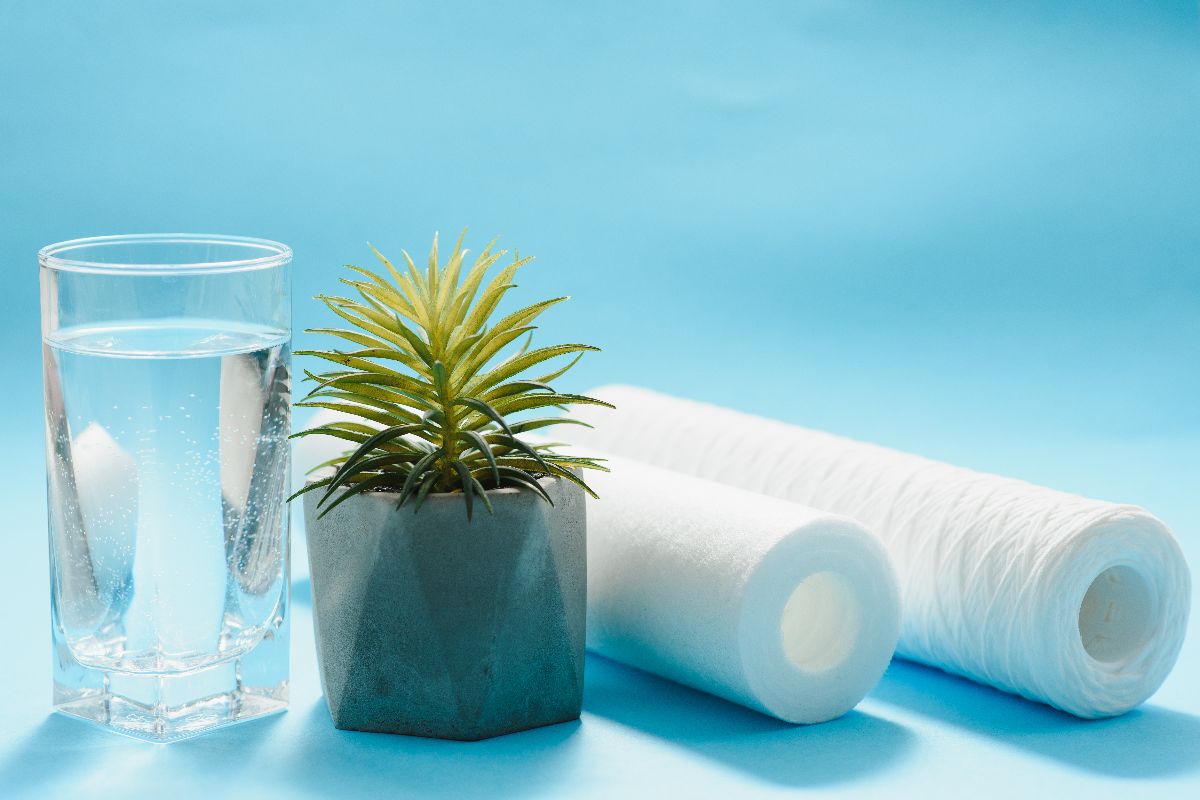 Glass of water beside filter cartridges and a small plant on a blue background