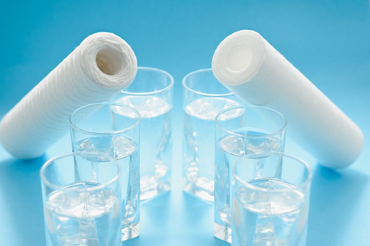 What Is The Difference Between Everpure And Microguard Filtration Systems?