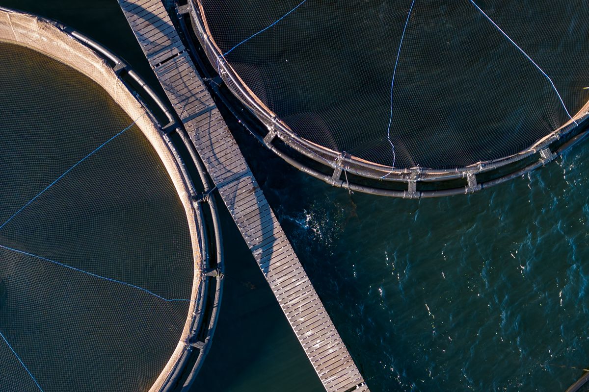 How Sewage Treatment Plants Help Facilities Meet Wastewater Regulations
